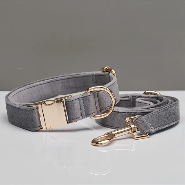 Mint Green Dog Collar Leash Grey - Shop at LoveMi