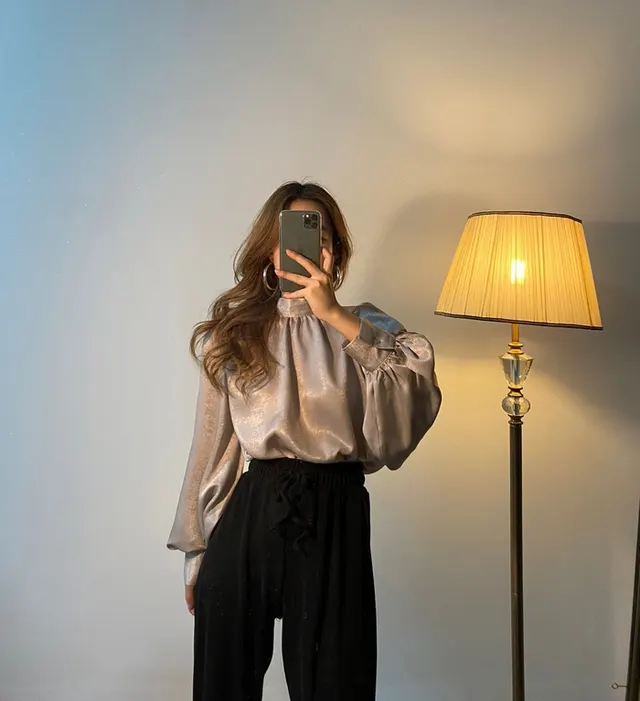 Elegant Stand Collar Shiny Satin Balloon Sleeve Shirt Brown - Shop at LoveMi