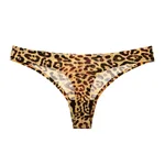 Tiger And Leopard