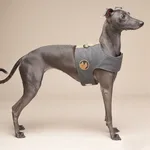 Grey Chest