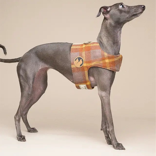 Dog Harness Small Dog Vest Type Leash Yellow Chest - Shop at LoveMi
