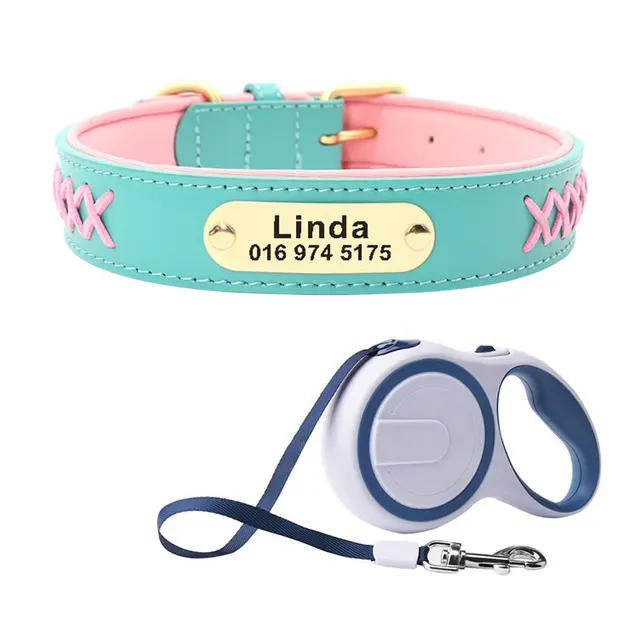 Collar Large And Medium Dog Lettering Anti lost Mint Green Telescopic Suit - Shop at LoveMi