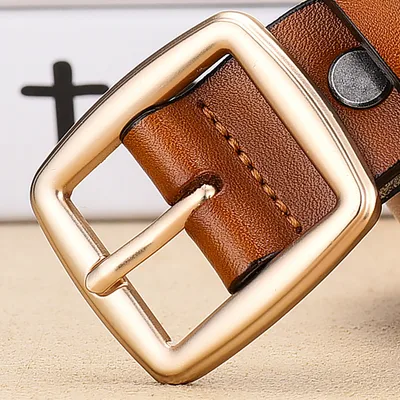 Ladies Korean Style Simple Gold Pin Buckle Belt Camel - Shop at LoveMi