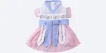 Hanfu Peach Pink