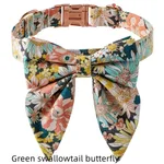 Green Swallowtail Butterfly