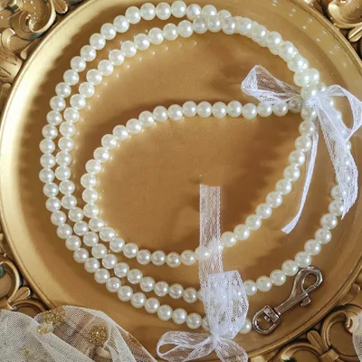 Tow Clothes Dog Cat Go Out Tow Rope Bow Pearl Traction Rope - Shop at LoveMi