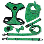 Green Little Dinosaur