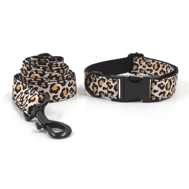 Pet Dog Black Buckle Collar Leash Set Collar And Traction Rope - Shop at LoveMi