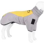 Grey Yellow