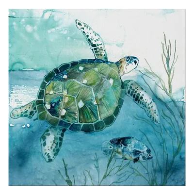 Turtle Canvas Painting Wall Art Poster 5 Style - Shop at LoveMi