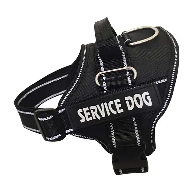 Personalized Copybook Reflective Dog Harness Black - Shop at LoveMi