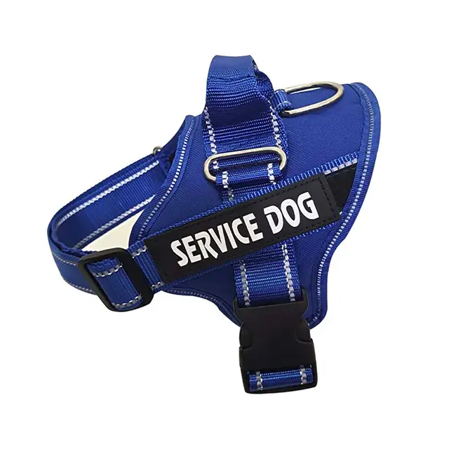 Personalized Copybook Reflective Dog Harness Blue - Shop at LoveMi