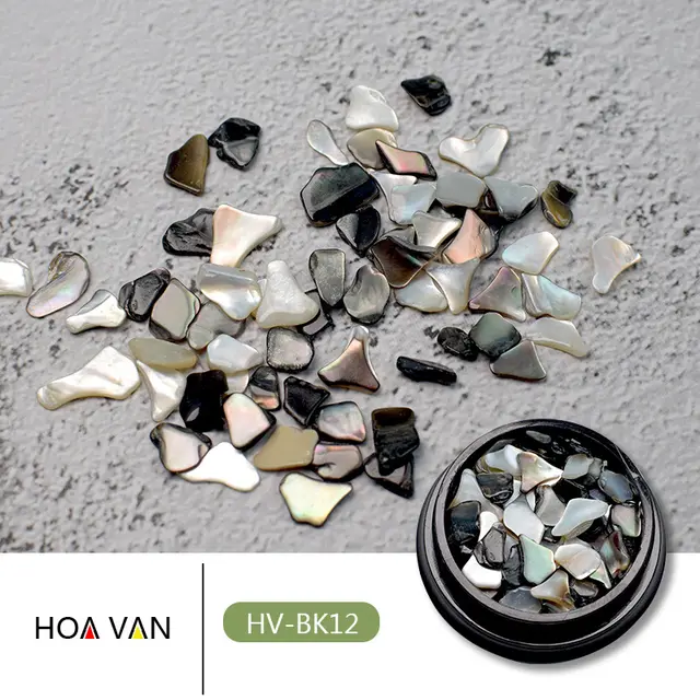 Nail Art Shell Stone Abalone Chip Internet Celebrity Milky White Irregular Japanese Fingernail Decoration Shell Patch Bk12 - Shop at LoveMi