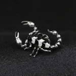 Black And White Ancient Silve