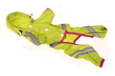 Pet Raincoat, Dog One layer Raincoat, Reflective Bar Warning Green With Red - Shop at LoveMi