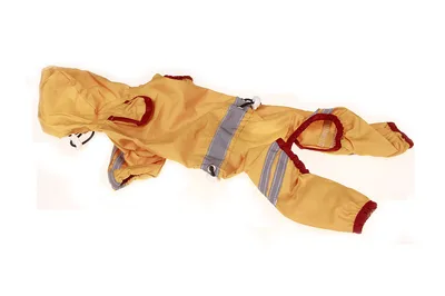Pet Raincoat, Dog One layer Raincoat, Reflective Bar Warning Yellow - Shop at LoveMi