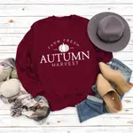 Wine Red Sweater White Font