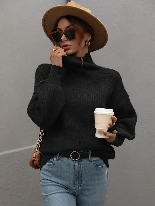 Solid Color Sweater With Turtleneck And Loose Pullover Black - Shop at LoveMi