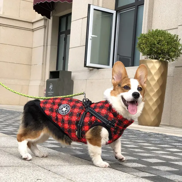 Christmas Dog Waterproof Reflective Belt Chest And Back Autumn And Winter Warm Pet Clothes Plaid - Shop at LoveMi