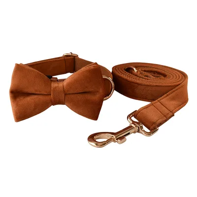 Ancient Pottery Dog Collar Gold Clasp Bowknot Suit - Shop at LoveMi