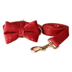 Bowknot Suit