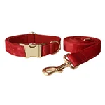 Dog Ring And Dog Rope Suit