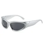 Silver Framed Grey Chip