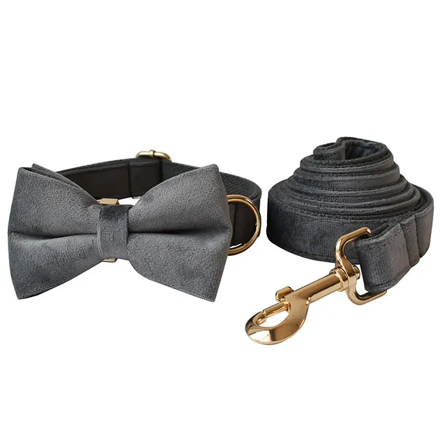 Dog Leash Pet Collar With Alloy Carabiner Bow Set - Shop at LoveMi