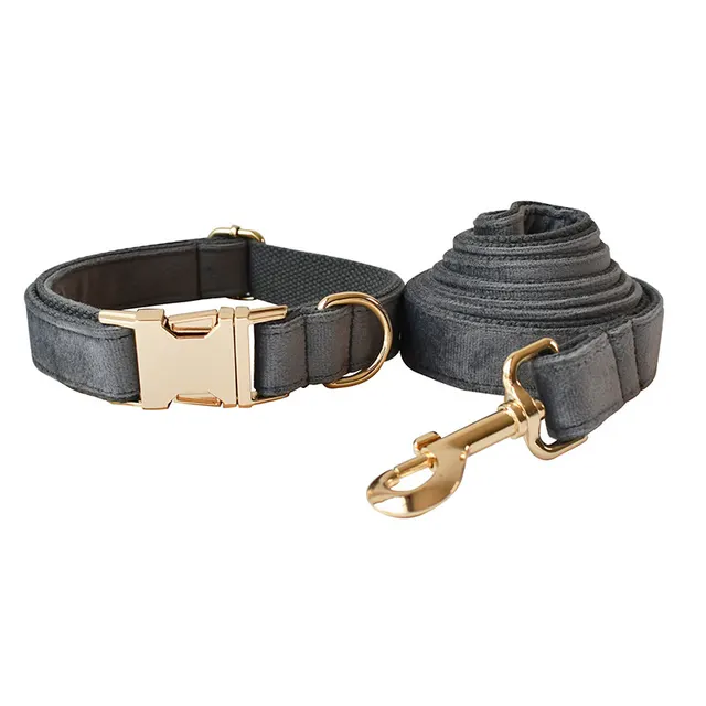 Dog Leash Pet Collar With Alloy Carabiner Dog Collar Dog Leash Set - Shop at LoveMi
