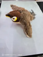 Sparrow