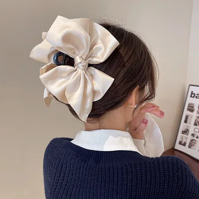 Back Of The Head Coiffure Korean Clips Champagne - Shop at LoveMi