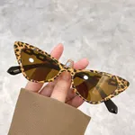 Tortoise Shell Box Tea