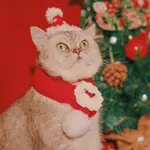 Red Christmas Suit