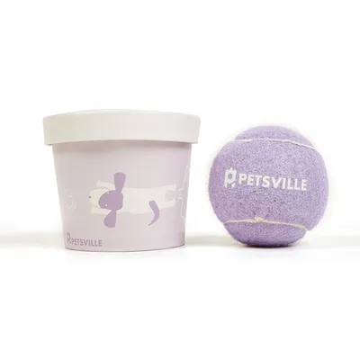 Outdoor Interactive Tennis Dog Toys Purple - Shop at LoveMi