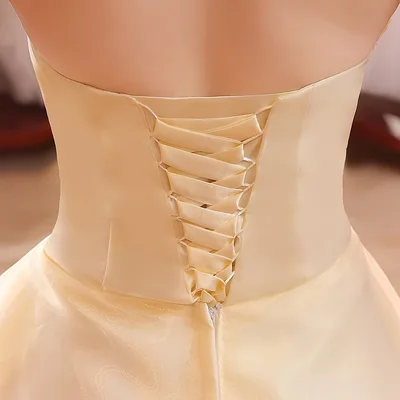 New Bustier Korean Princess Thin Wedding Dress Champagne Straps 4Xl - Shop at LoveMi
