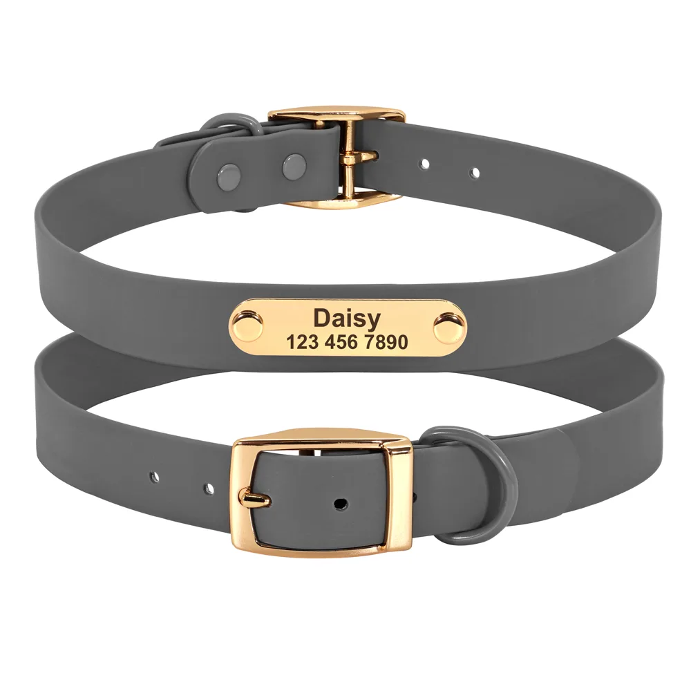 Collar Leash Medium Dog Teddy - Grey