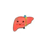 Zq Liver