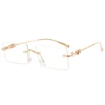 Plain Glasses