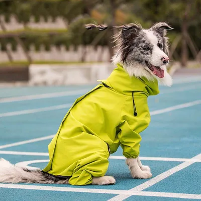 Raincoat Outdoor Waterproof Reflective Coat For Large Dogs And Pets Green - Shop at LoveMi