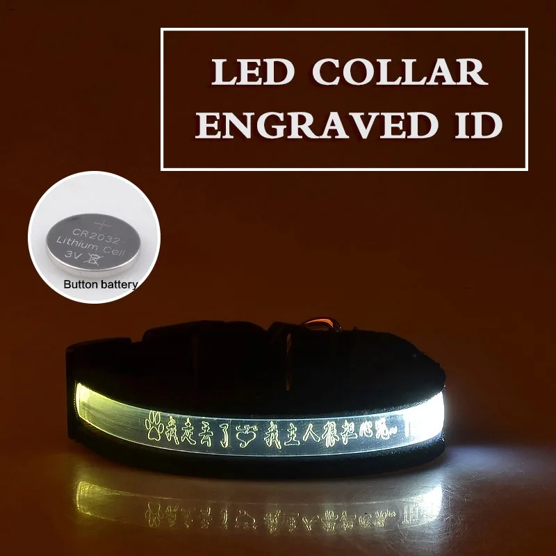 Pet Glow Collar Radium Carved Lettering Dog Collar White - Shop at LoveMi