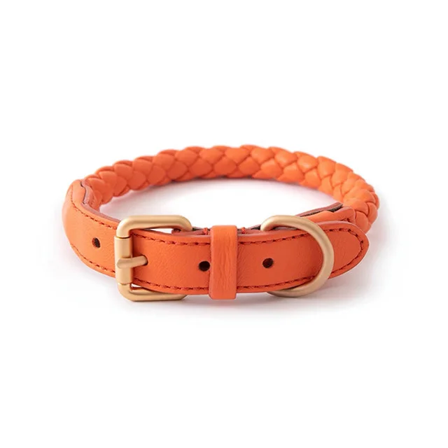 High end Large Dog Collar Sturdy Netflix Ke Foundation Hair Pet Amber Orange - Shop at LoveMi