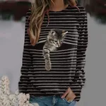 Kitten-M