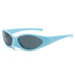 Blue Frame Grey Chip