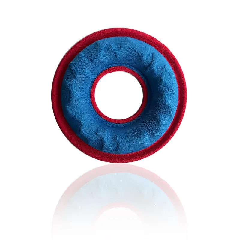 Floating Water Bite Resistance Training Interactive Ring Toy Blue With Red Edge - Shop at LoveMi