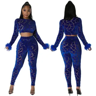 Women's Fur Sleeve Flocking Fashion Casual Set - Blue