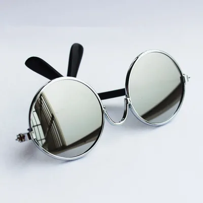 Fashion Personality Small Pet Accessory Mirror Silver Reflective - Shop at LoveMi