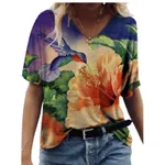 A5-3Xl