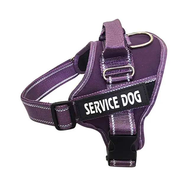 Personalization Of Pet Chest Strap Products Purple - Shop at LoveMi