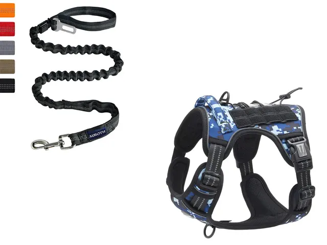 Tactical Outdoor Training Reflective Pet Traction Rope Blue Camouflage Set - Shop at LoveMi