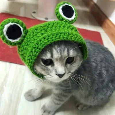 Spring And Summer Plankton Young Wool Knitted British Short Pet Hat Green Frog - Shop at LoveMi